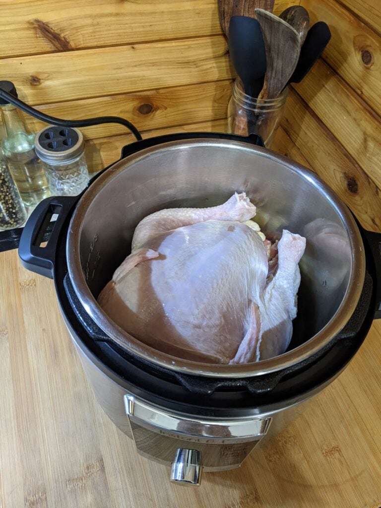 Homemade Chicken Noodle - Chicken in instant pot